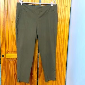 RENEE GREENSTEIN STRETCH PANTS PLUS SIZE 2X WOMENS STRAIGHT LEG SIDE POCKETS TAN
